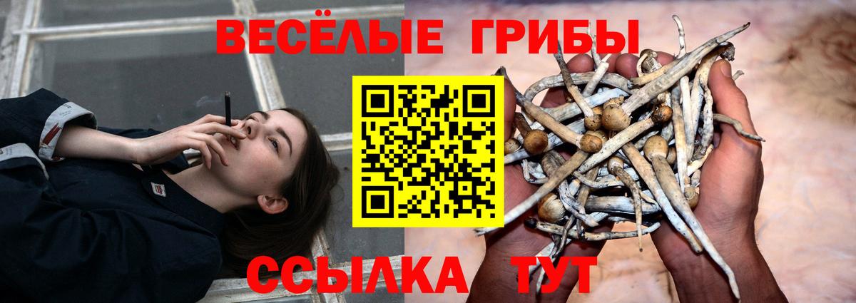 Галлюциногенные грибы Psilocybine cubensis  Вход с VPN  Изобильный 