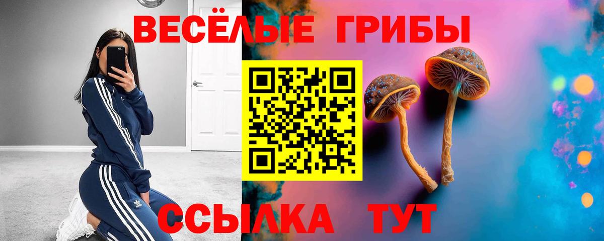 Псилоцибиновые грибы MAGIC MUSHROOMS Изобильный